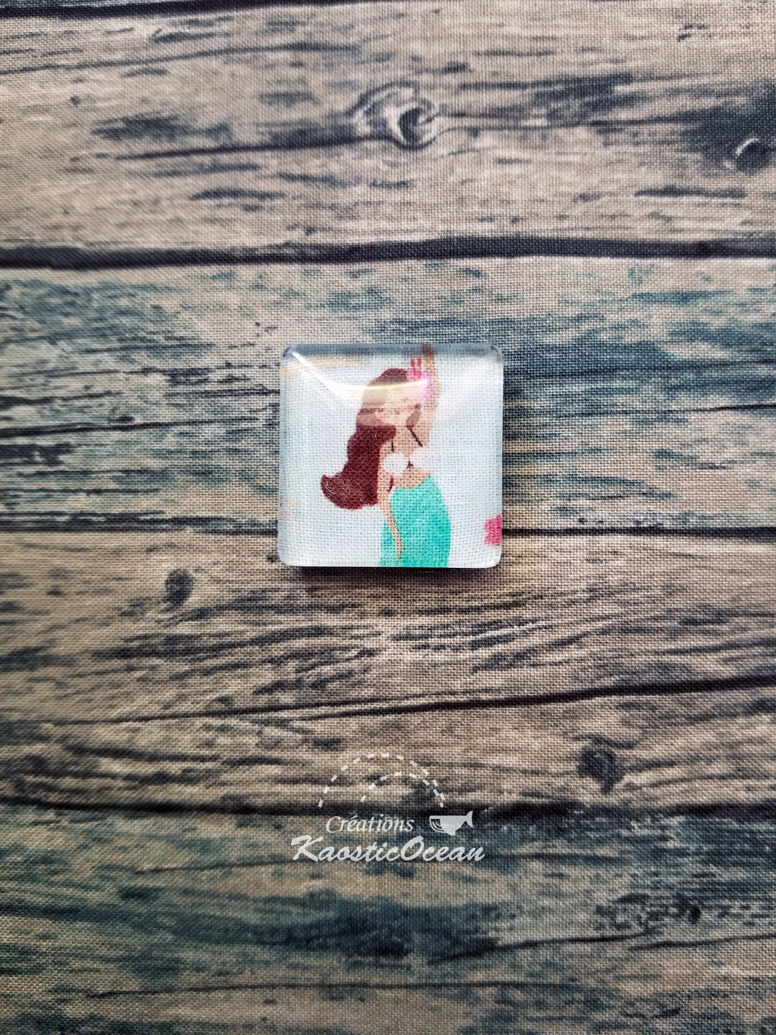Aimant (co0284)