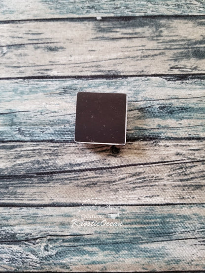 Aimant (fla0060)