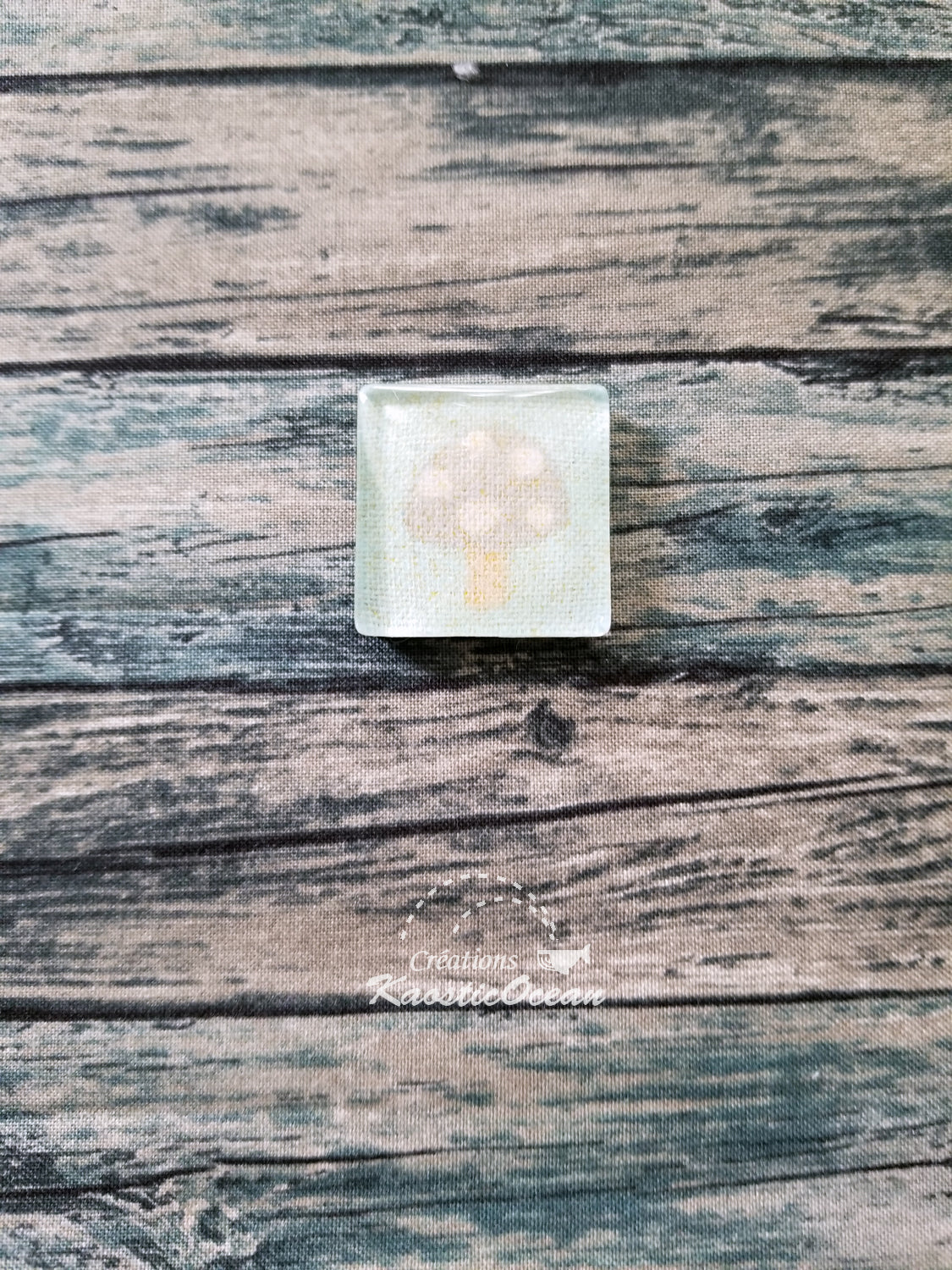 Aimant (fla0035)