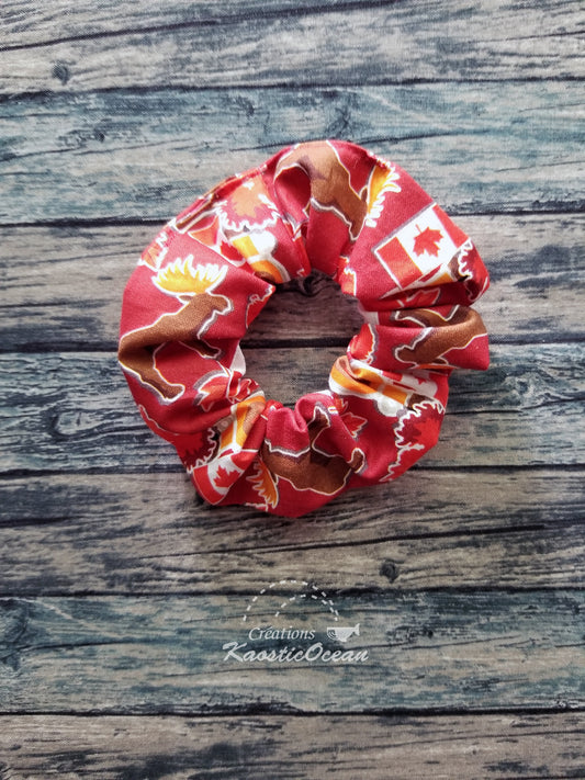 Élastique à cheveux (co0371)