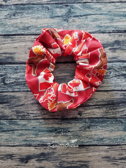 Élastique à cheveux (co0371)