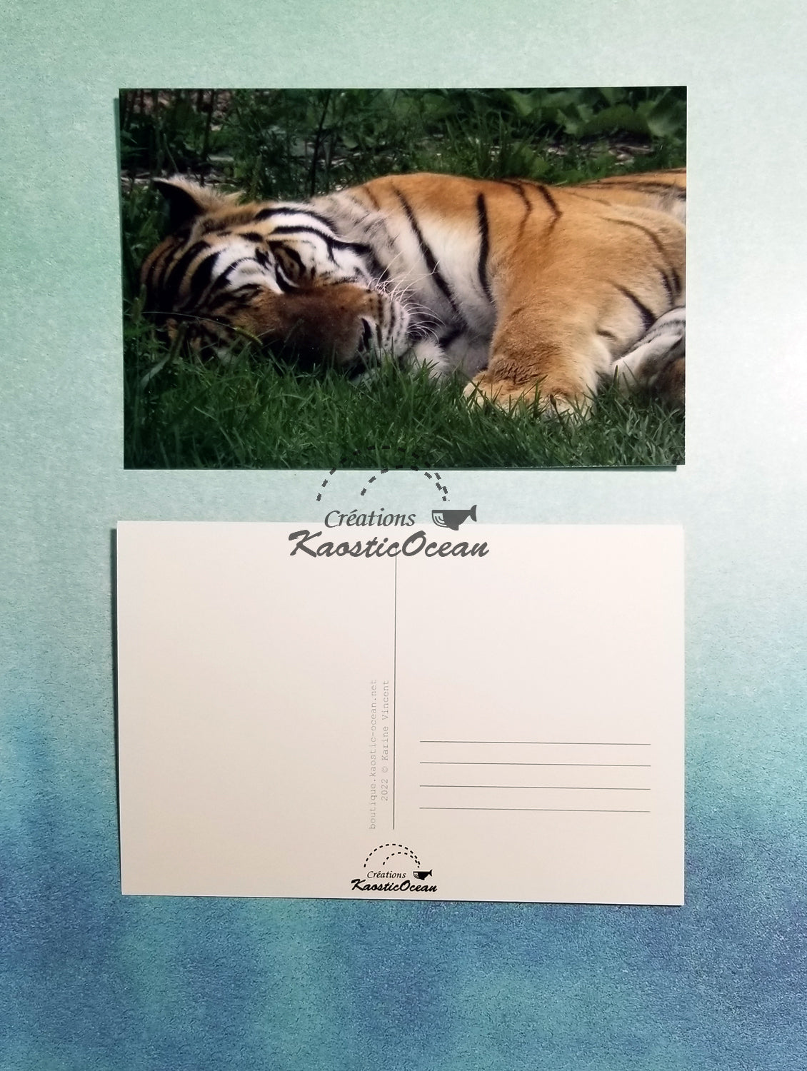 Carte postale - Photo (tigre)